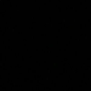 Meet your Posher, Vanee